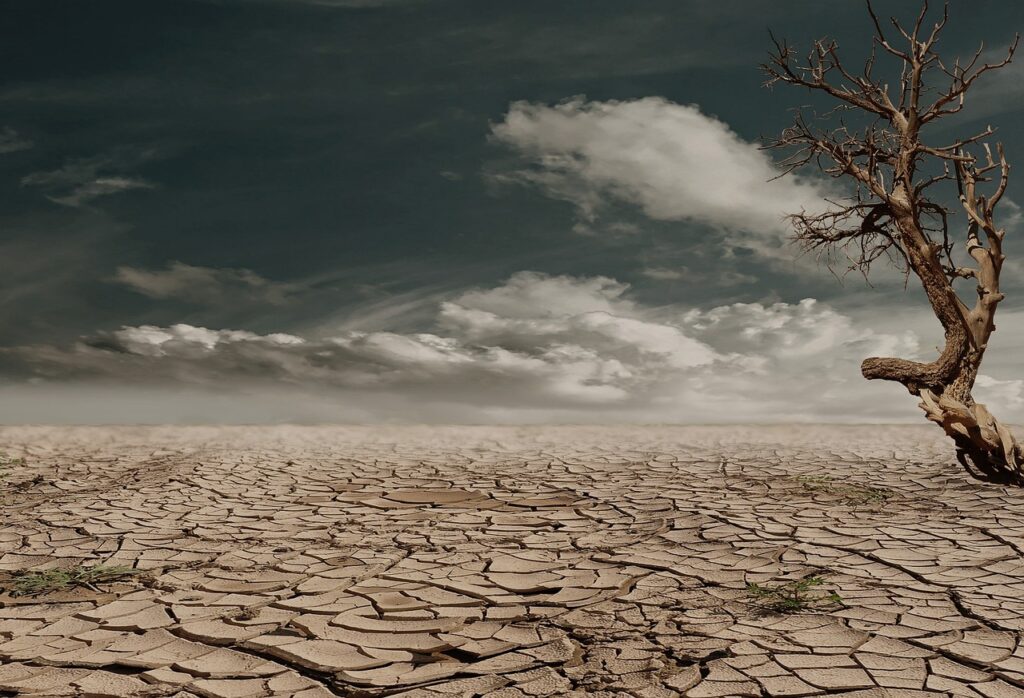 desert, drought, dehydrated, arid, badlands, erosion, tree, dead tree, clouds, horizon, barren, dry soil, dry lands, clay soil, nature, cracked, cracks, dry, hot, devastated, wasteland, deserted, desert, desert, desert, desert, desert, drought